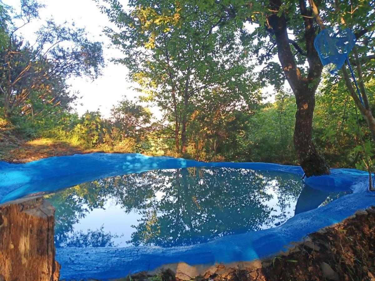 Bed and Breakfast @Gatetothewild Coreglia Ligure Exterior foto